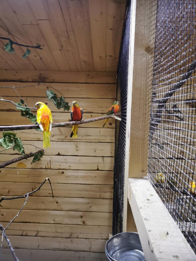 Casa Hibiscus Lägenhet Putbus Exteriör bild